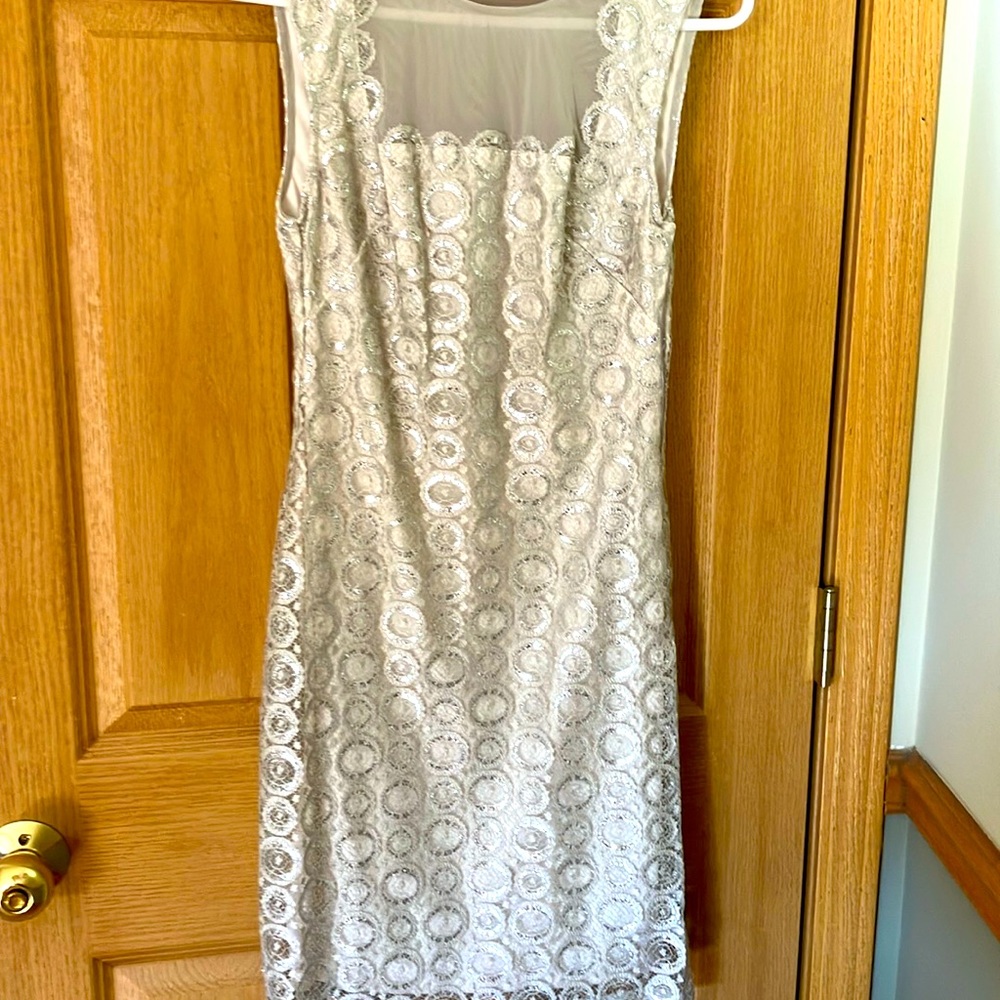 Beautiful silver lace dress. Sheer back panel, size small